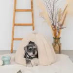 ドーム型セミクローズドペットハウス クッション付 - 画像 (9)