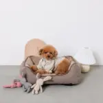 ヘリンボーンクッションベッド - 画像 (2)