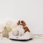 ヘリンボーンクッションベッド - 画像 (4)