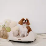 ヘリンボーンクッションベッド - 画像 (7)