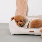 ヘリンボーンクッションベッド - 画像 (8)