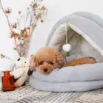 ポンポン付セミクローズドベッド S - 画像 (8)