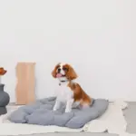 ベッドスローブランケット タッセル付 - 画像 (2)