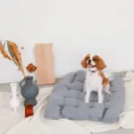 ベッドスローブランケット タッセル付 - 画像 (4)