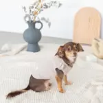 ベッドスローブランケット タッセル付 - 画像 (6)