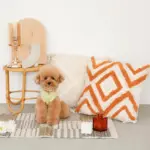 トライアングル柄フリンジクッション - 画像 (4)