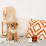 トライアングル柄フリンジクッション - 画像 (5)