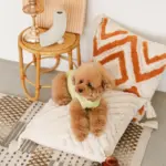 トライアングル柄フリンジクッション - 画像 (6)