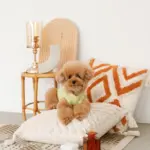 トライアングル柄フリンジクッション - 画像 (7)