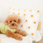 フラワークッション 横長 - 画像 (6)