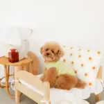 フラワークッション 横長 - 画像 (8)