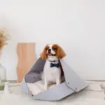 ウッドシェープトレイ - 画像 (3)