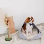 ウッドシェープトレイ - 画像 (4)