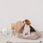 クッション付フェルトベッド - 画像 (4)