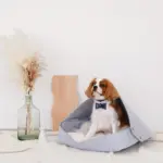 クッション付フェルトベッド - 画像 (8)