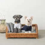 スクエアラタンベッド　クッション付き - 画像 (3)