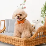 スクエアラタンベッド　クッション付き - 画像 (4)