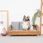 スクエアラタンベッド　クッション付き - 画像 (5)