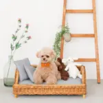 スクエアラタンベッド　クッション付き - 画像 (7)