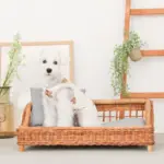 スクエアラタンベッド　クッション付き - 画像 (8)