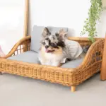 スクエアラタンベッド　クッション付き - 画像 (9)