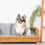 スクエアラタンベッド　クッション付き - 画像 (10)