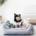 リバーシブルクッションストライプベッド - 画像 (2)