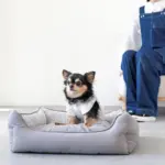 リバーシブルクッションストライプベッド - 画像 (4)