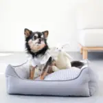 リバーシブルクッションストライプベッド - 画像 (5)