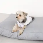 モダンドッグクッション - 画像 (2)