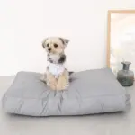 モダンドッグクッション - 画像 (6)