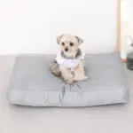 モダンドッグクッション - 画像 (8)