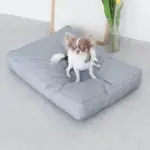 モダンドッグクッション - 画像 (9)