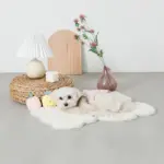 くまさんマット - 画像 (4)