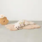 くまさんマット - 画像 (7)