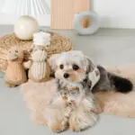 くまさんマット - 画像 (10)