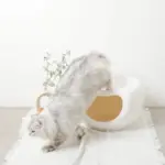 ドーム型キャットハウス - 画像 (3)