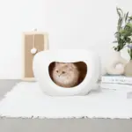 ドーム型キャットハウス - 画像 (4)