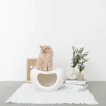 ドーム型キャットハウス - 画像 (5)