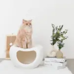 ドーム型キャットハウス - 画像 (6)