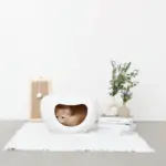 ドーム型キャットハウス - 画像 (7)