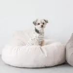 ふんわりクッションベッド - 画像 (5)