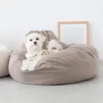 ふんわりクッションベッド - 画像 (7)