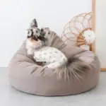 ふんわりクッションベッド - 画像 (9)