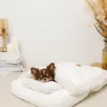 お星さまとお月さま柄お布団SET - 画像 (2)