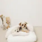 お星さまとお月さま柄お布団SET - 画像 (3)