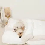 お星さまとお月さま柄お布団SET - 画像 (4)