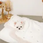 お星さまとお月さま柄お布団SET - 画像 (5)