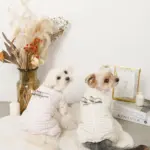 遠赤外線ギンガムチェックロンパースハーネス - 画像 (2)