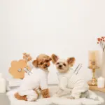 遠赤外線ギンガムチェックロンパースハーネス - 画像 (4)